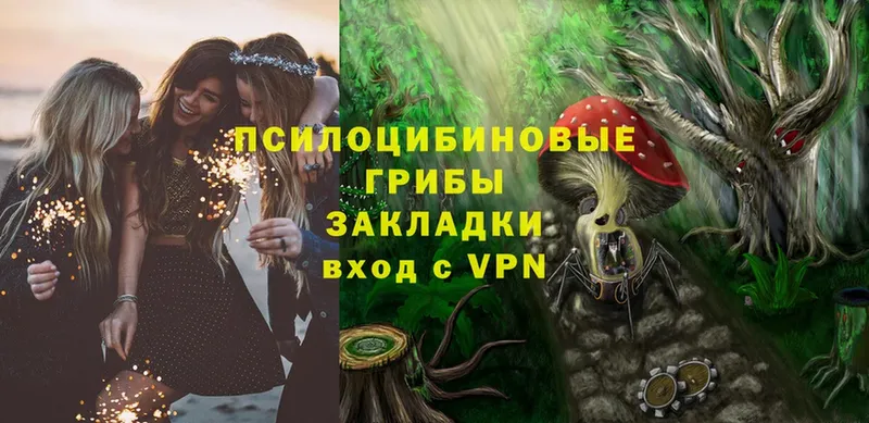 Псилоцибиновые грибы Psilocybine cubensis  сколько стоит  Абаза 